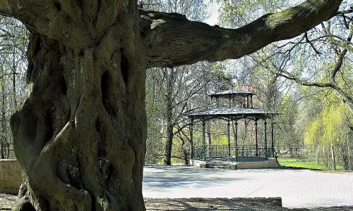 Městský park v České Lípě