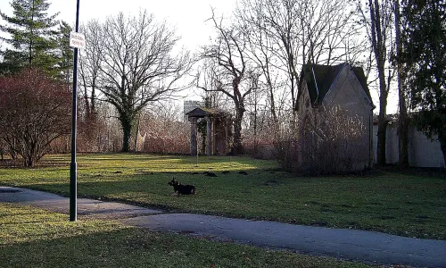 Svatojiřský park