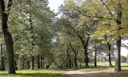 park Masarykovy sady