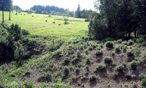 Boršov (hrad, okres Svitavy)