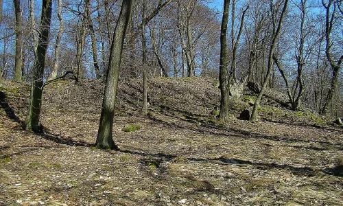Březina (hradiště)