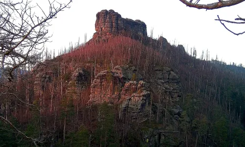 Falkenštejn