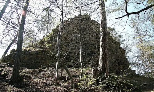Holoubek