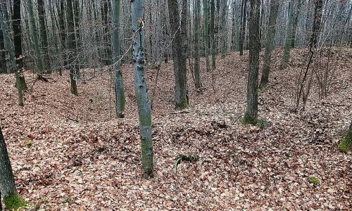 Hrad Zlín