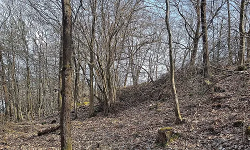 Hradeň
