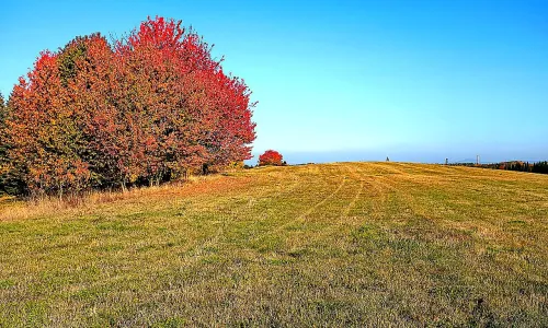 Hradiště (1000143970)