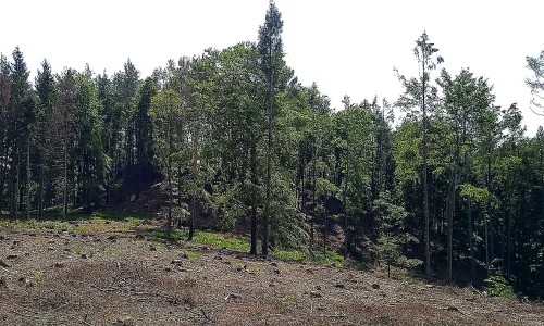 Hradiště Hrádek