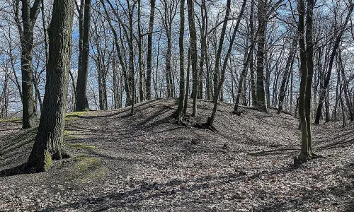 Hrušov