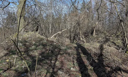 Humniště