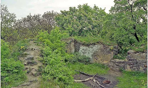 Hřídelík