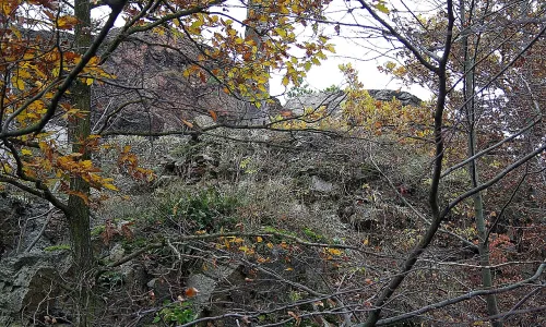 Kozlov (hrad, okres Třebíč)
