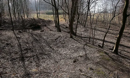 Lažany