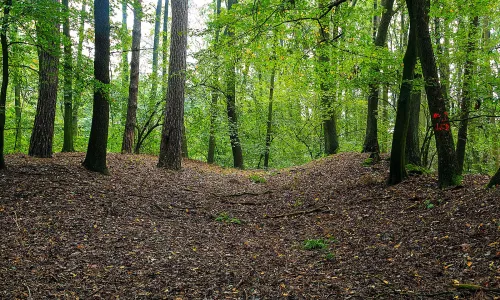 Na Valech (Horní Přím)