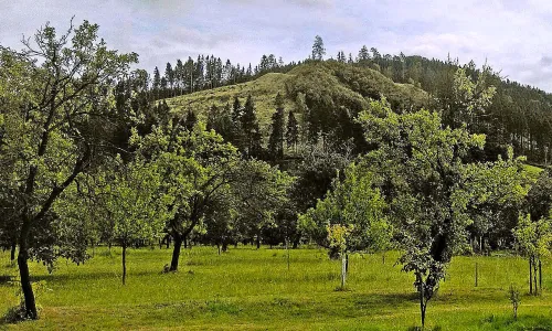 Nový Šaumburk