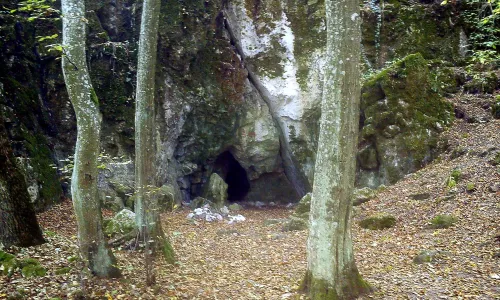Pekárna
