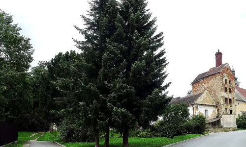 Pivovar (Pacov)