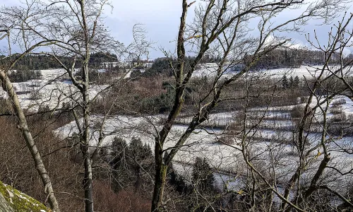 Pulčín
