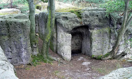 Pustý zámek (hrad, okres Česká Lípa)