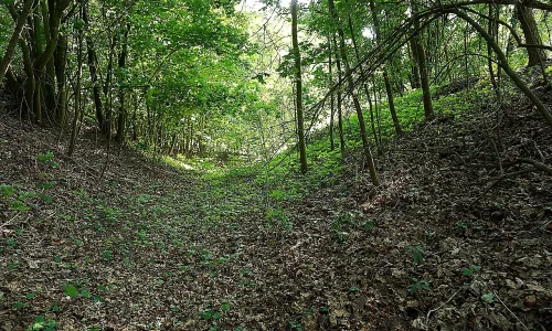 Rácov