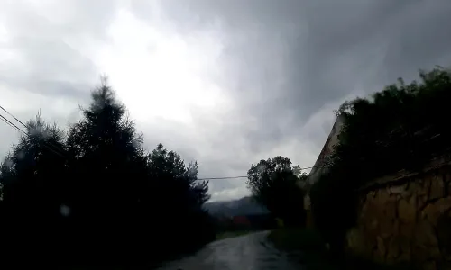 Tedražice