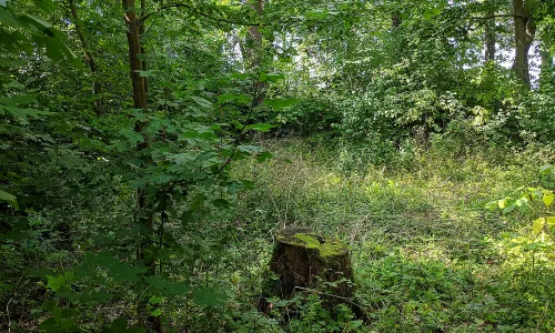 Velký Vřešťov