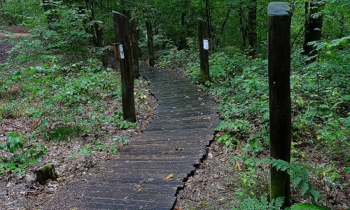 Větrný mlýn (Růžová)