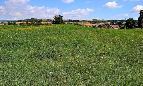 Zabrušany