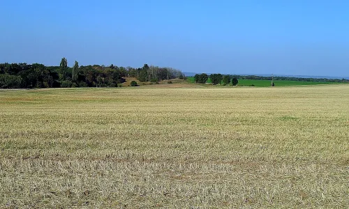 neolitický sídelní areál Bylany