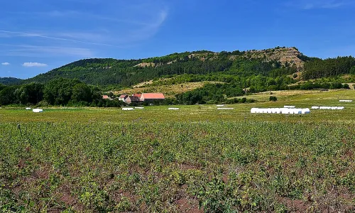 Úhošť