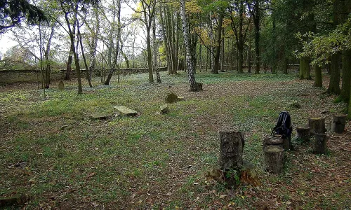 Židovský hřbitov ve Stráži