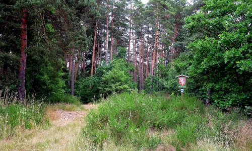 Halštatské a středověké hradiště