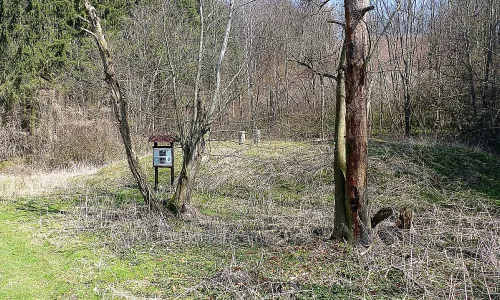 Konůvky