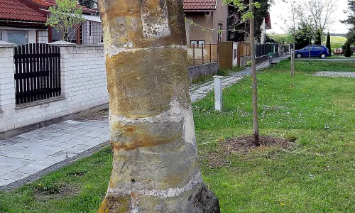 boží muka v Nymburské ulici