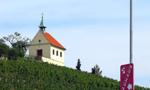 vinice svaté Kláry