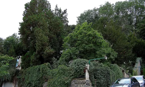Vančurova vila