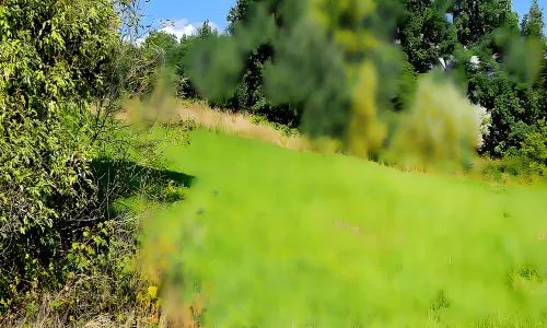 Božetín