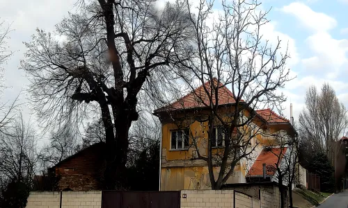 Braunův sklep