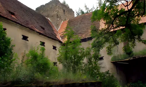 Buzice