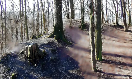 Choustníkovo Hradiště