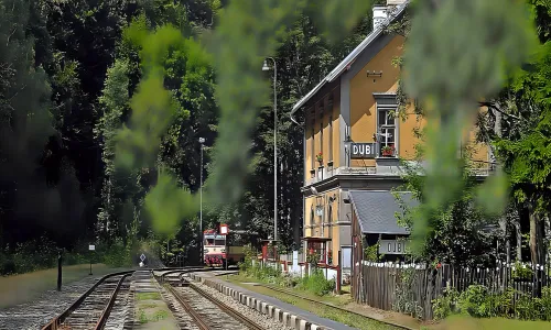 Dubí