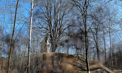 Dvorec