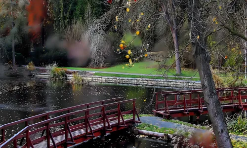 Arboretum Bílá Lhota