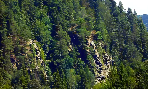 Hradisko u Kružberka