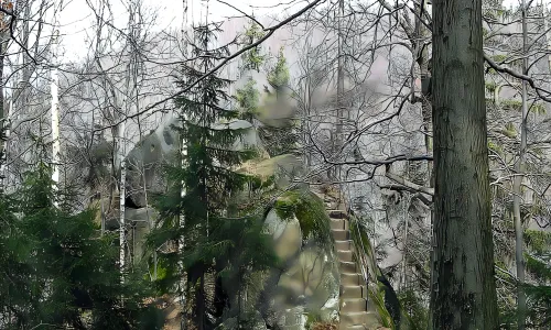 Jezdec