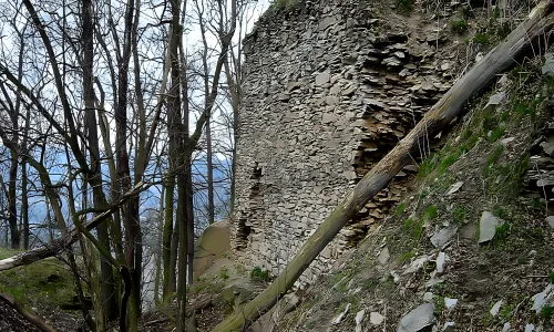 Litýš