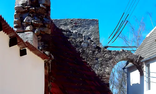 Myšenec