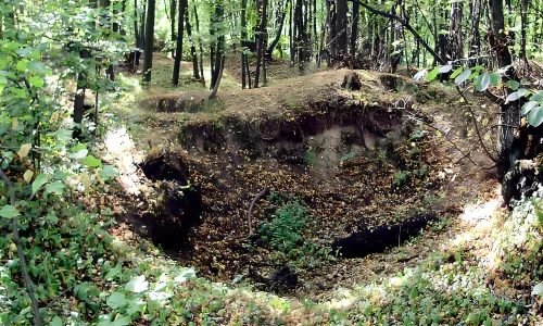 Orlovice