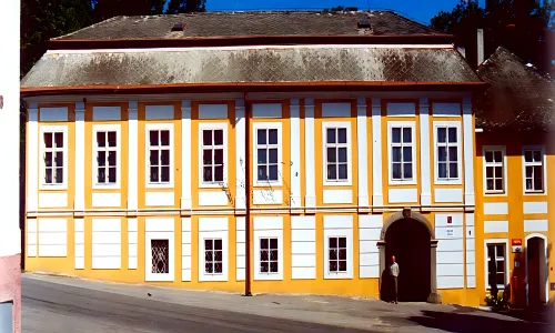 Puklice