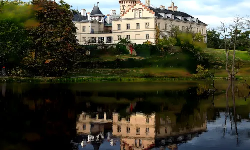 Raduň