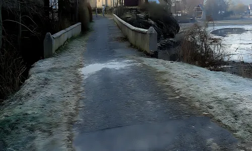 Rybnov
